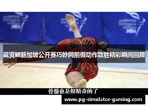 戴资颖新加坡公开赛巧妙网前假动作致胜精彩瞬间回顾