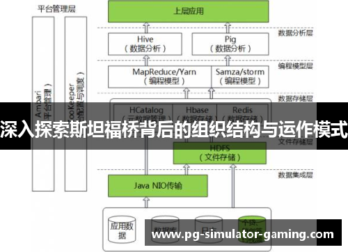 深入探索斯坦福桥背后的组织结构与运作模式